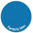 Fantastic bleu